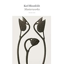アート・デザイン・音楽 90s Karl Blossfeldt art book 90s Karl Blossfeldt art book