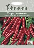 JOVE 英国ジョンソンズシード Pepper (HOT) DE CAYENNE ペッパー（トウガラシ）・デ・カイエンヌ