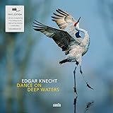 DANCE ON DEEP WATERS [LP] [Analog]