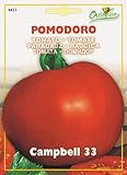 【HORTUS社種子】【Art.4421】イタリアントマト・キャンベル