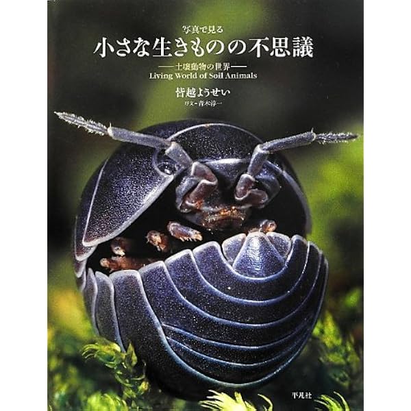 だれでもできるやさしい土壌動物のしらべかた: 採集・標本・分類の基礎