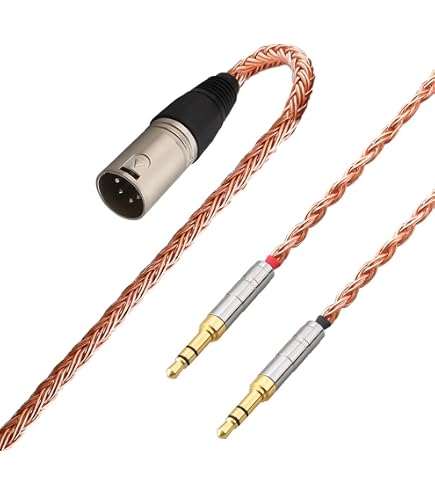 Amazon | HIFIMAN HE-R10D ダイナミックトポロジードライバー クローズ