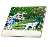 3drose Scenes from the Pastマジックランタンスライド – ビンテージ1890 2犬Pulling A木製カートで古い日本 – タイル 8-Inch-Ceramic ct_24