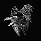 Migration