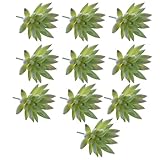 Fenteer 人工花　ホームデコレーション　シミュレーション多肉植物