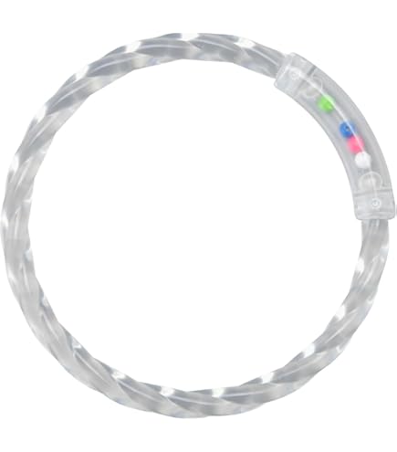 好奇心は知恵のもとシリーズ おはし名人への道 Amazon | 好奇心は知恵のもとシリーズ おはし名人への道