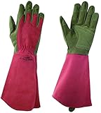 東和コーポレーション WEST COUNTY ROSE West County Rose (ウェストカウンティーローズ) 431 ルビー XS