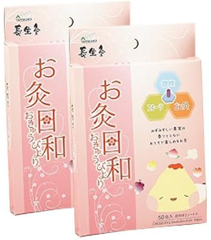 長生灸 お灸日和　800壮（箱なし）微煙　使用説明書、ツボ冊子付 Amazon.co.jp: 山正(YAMASHO) 長生灸 お灸日和（おきゅうびより