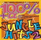 100%+α ジャングル(2)