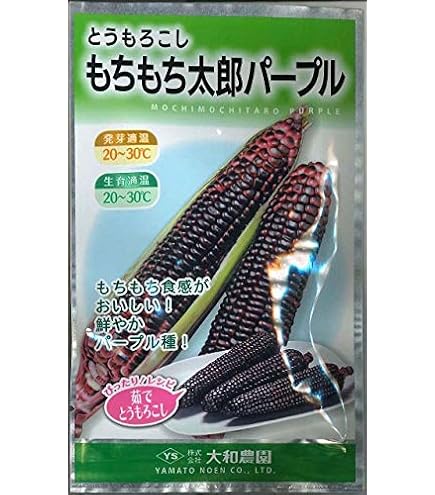 とうろもこし！ Amazon.co.jp: 植物種子 カラフルなとうもろこし 種 25粒 : DIY・工具