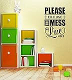 Wall Decor Plus More WDPM3325 Please Excuse the Mess We Live Here Home Decor Wall Decal Sticker for 