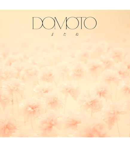 RAISE ステッカー 初回盤 通常盤 KOICHI DOMOTO 堂本光一 RAISE ステッカー 初回盤 通常盤 KOICHI DOMOTO 堂本光一 - メルカリ