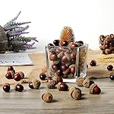 100ピースブラウンAssorted人工Acornキャップ、秋花瓶フィラーDecorations