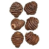 東京堂 ドライフラワー プラティスヘッド(6コ入り) DE018814