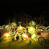 Infabe クリスマス ハロウィン LEDライト 結婚式 お誕生日バー 飾りスター 電池 イルミネーション led オーナメント レモン形の装飾LEDライト 電池式 電球 ストリングスライト