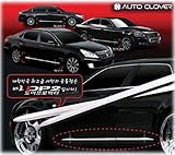 AUTO CLOVER メッキモール (100cm 2本セット) DP2 1000mm 正規品 サイドガーニッシュ サイドドアモール