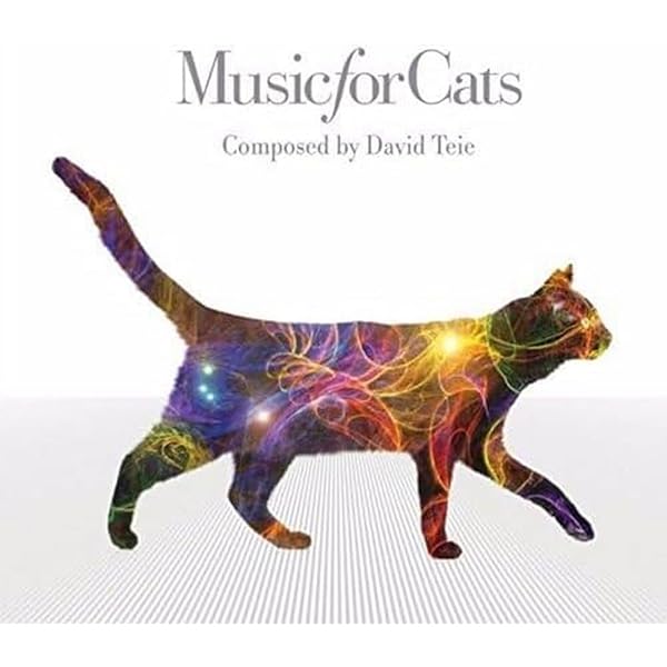 Amazon.co.jp: 猫のための音楽 Music Cats Love/あなたがいない