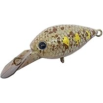 Amazon | ディスプラウト(Daysprout) チャタクラ DR #TO-01 THE