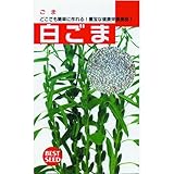 ごま 種 白ごま 小袋