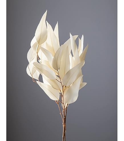 Amazon｜コアトレーニング ドライフラワー マグノリアリーフ 約L69cm 1