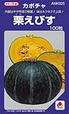 かぼちゃ 種 【 栗えびす 】 種子 小袋（約100粒）
