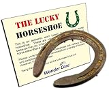 AzureGreen RHORU Used Horseshoe