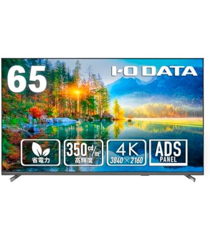 新品未開封 I-O DATA EX-LD4K651DB 65インチ液晶モニター EX-LD4K651DB | 4K対応＆広視野角ADSパネル採用 65型（可視領域