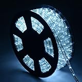 prosperly米国製品100 ' 2ワイヤLEDロープライトクリスマス装飾パーティーin /アウトドア110 V Cool White
