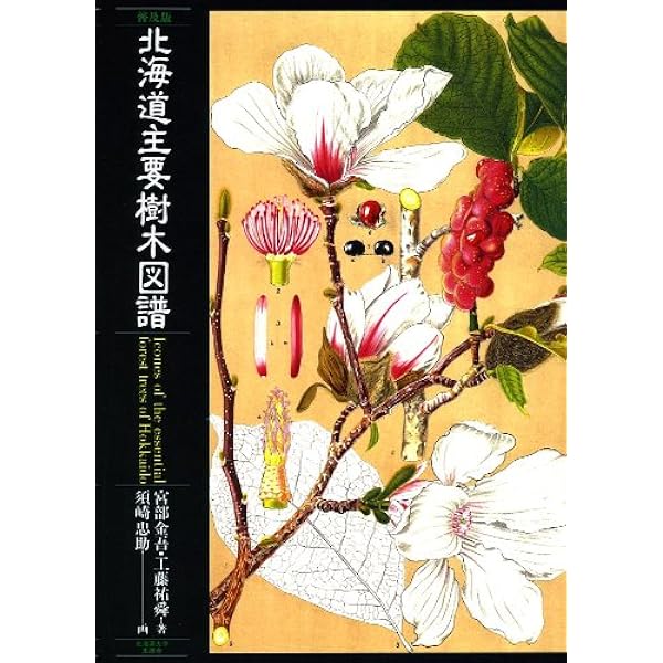 新版 北海道主要樹木図譜 | 宮部 金吾, 工藤 祐舜, 須崎 忠助
