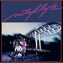 新品未開封 廃盤レコード Niteflyte ナイトフライト Niteflyte｜Niteflyte / ナイトフライト (LP)｜レコード通販