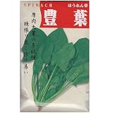在来固定種　野菜の種「豊葉ほうれん草」50ml約1150粒　畑懐〔はふう〕