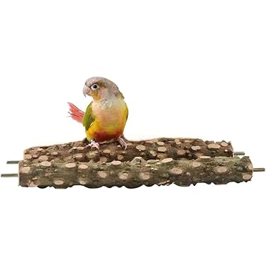 Amazon.co.jp 売れ筋ランキング: 鳥用止まり木 の中で最も人気のある