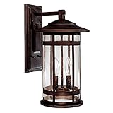 Capital Lighting 9952BB Outdoor Wall Fixture with Seeded Glass Shades, Burnished Bronze Finish [並行輸入