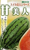 フタバ種苗 【一代交配】 西瓜 甘美人 (スイカ) 種・小袋詰(10粒)