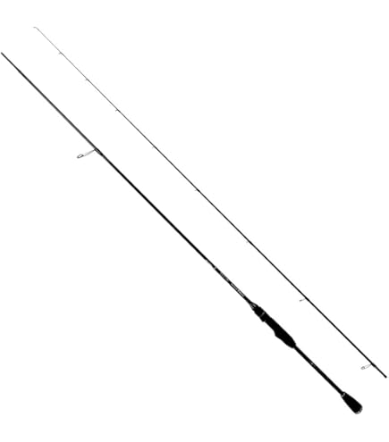 Amazon | 林釣漁具製作所 ティクト アイスキューブ IC-74PT-Sis