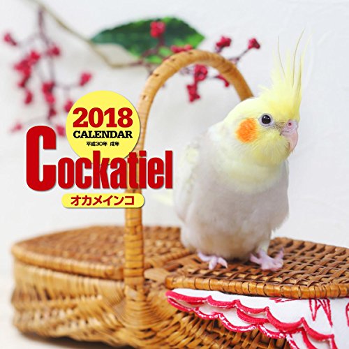 2018年大判カレンダー オカメインコ ([カレンダー])