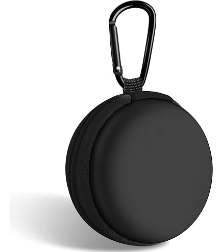 Hard Case Für In-Ear-Kopfhörer – Kompatibel Mit Sony, Shure, KZ Uvm., Grau, Mit Karabiner