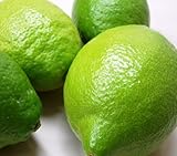 【レモン屋ますだ】国産 (広島県産)レモン 防腐剤・防かび剤不使用 ノーワックス （広島市中央卸売場出荷） (1kg)