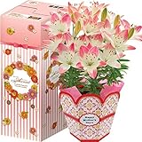 花のギフト社 母の日 花 鉢植え ゆり ユリ 百合 プレゼント 花鉢 母の日ギフト 母の日プレゼント