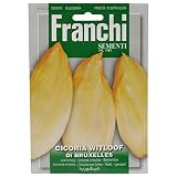 野菜の種 リーフチコリー DI BRUXELLES 40/8