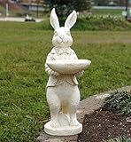 野川農園スタンディングバニー L