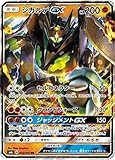ポケモンカードゲーム/PK-SM6-050 ジガルデGX RR