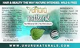 Nettle Oil 1 ounce bottle [並行輸入品]