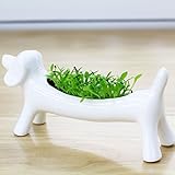 植木鉢 植物ポット 陶器 小型 動物　犬　オフィス 家庭 装飾 ギフト 可愛い