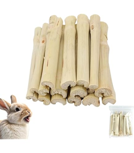 Amazon.co.jp: りんごの木 チンチラ かじり木 小動物 かじり木 りんご