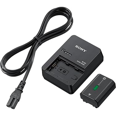 SonyDCR-PC300K 別売大容量バッテリー2個、充電器AC-SQ950付 SonyDCR-PC300K 別売大容量バッテリー2個、充電器AC-SQ950付
