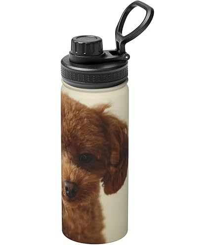 未使用　3点　パティ＆ジミー ステンレスマグボトル　マルチケース　保冷バッグ 楽天市場】パティ&ジミー（弁当箱・水筒｜キッチン用品・食器