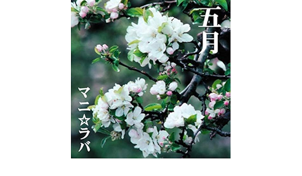 Amazon Music マニ ラバの春の通り雨 Amazon Co Jp