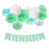 nicrolandee Cactusベビーシャワー装飾キットミックスミントグリーンTissue Pom Poms HangingハニカムボールEyelet Paper Lantern水彩1st誕生日パ