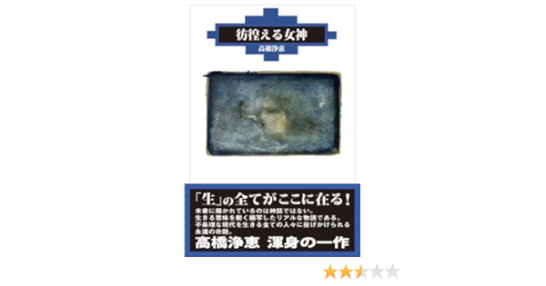 彷徨える女神 高橋浄恵 本 通販 Amazon